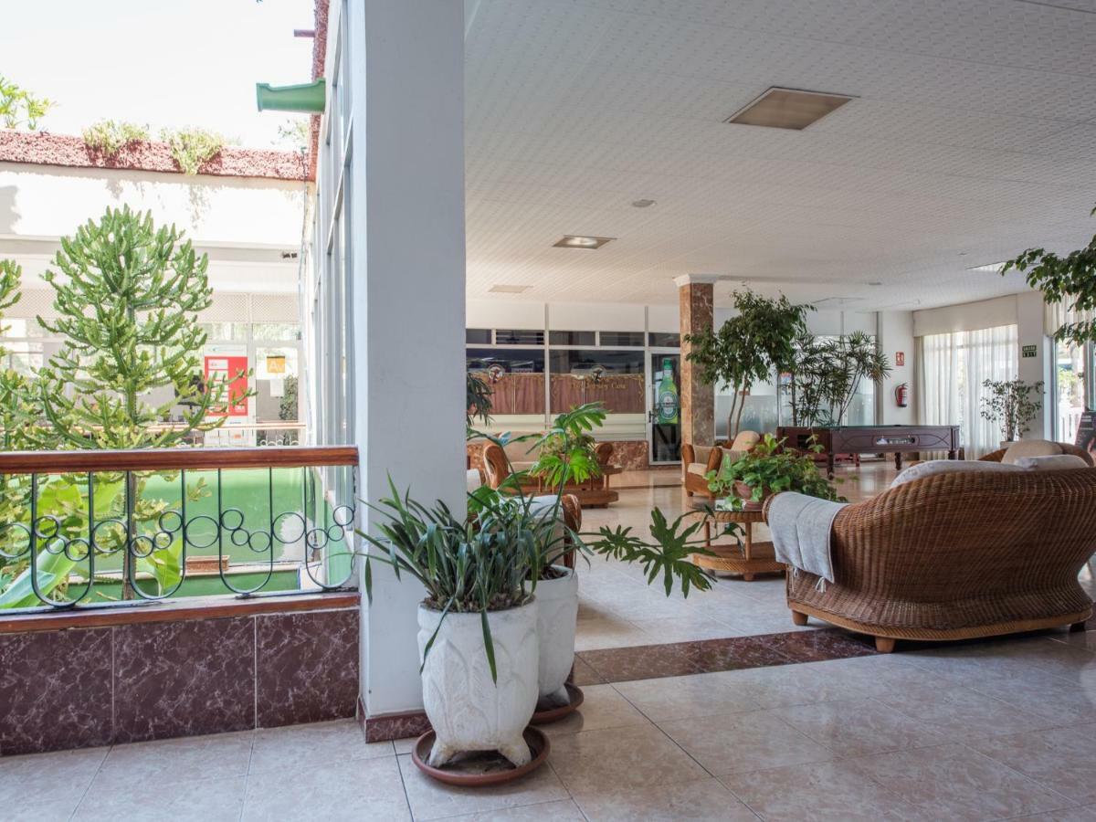 926 Fabulous View Of Lasamericas, Seafront Studio! Playa de las Americas  Bagian luar foto